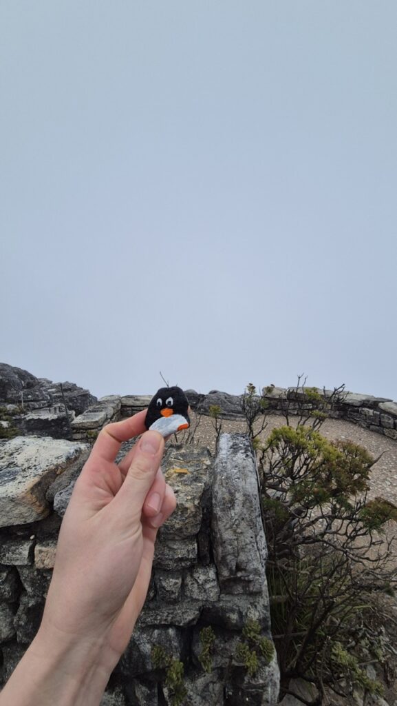 #386 – Top of Table Mountain, Cape Town, South Africa
