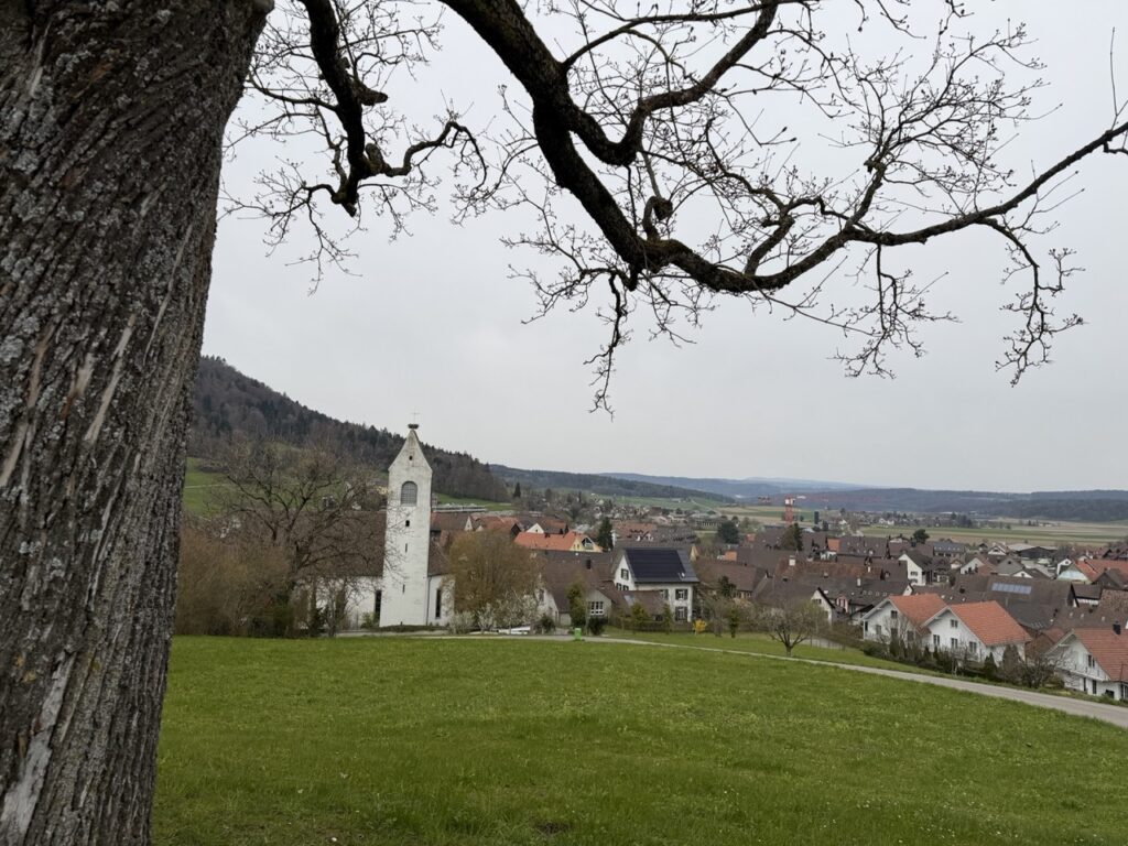 #955 – Bench, Stadel bei Niederglatt, Switzerland