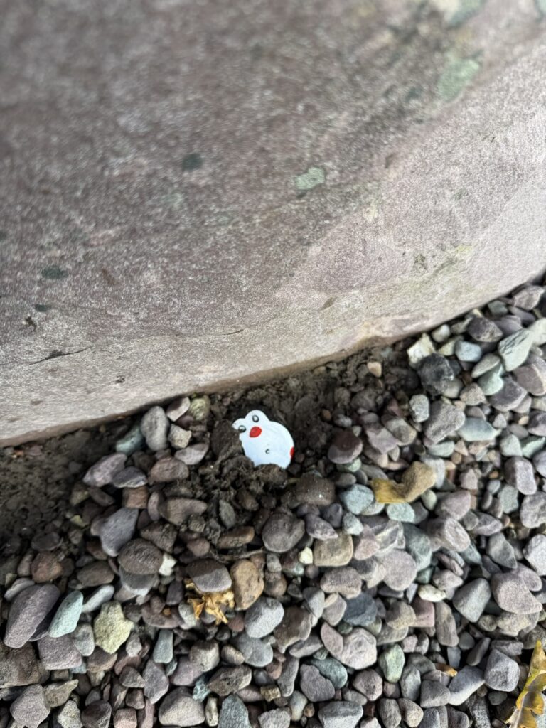 #1001 – Close to King Puck Statue, Killorglin, Ireland