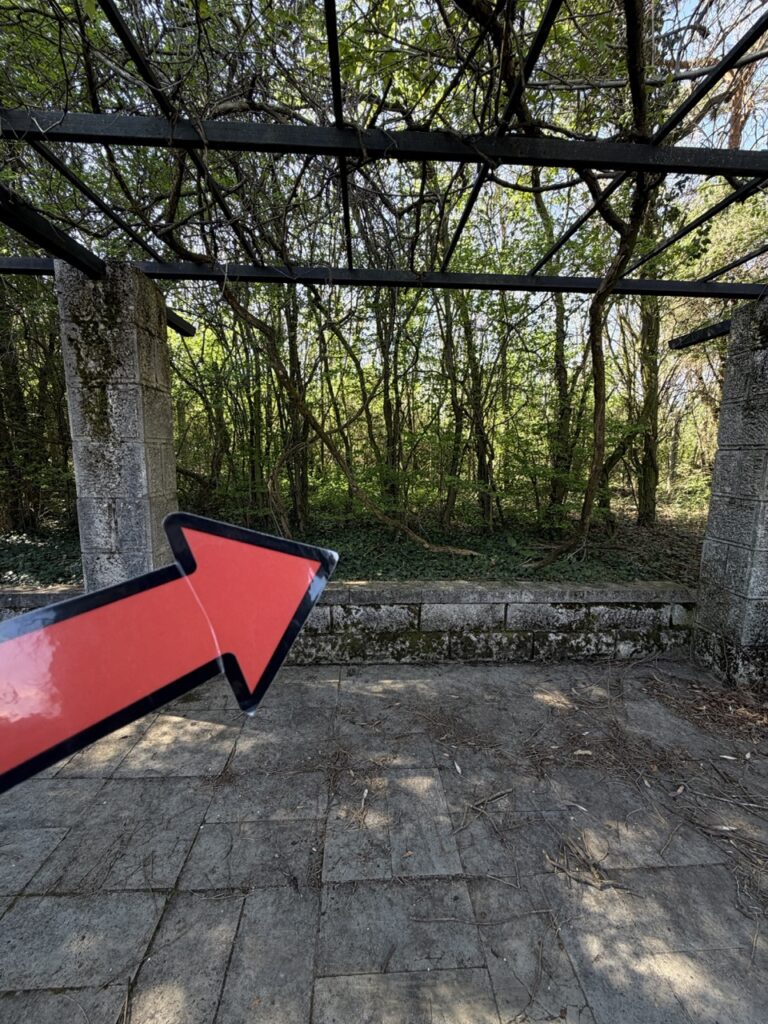 #1015 – Flower Corridor, Arborétum Mlyňany SAV, Slovakia