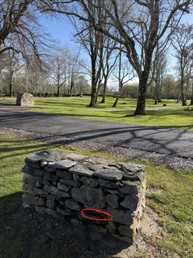 #1016 – Ross Castle, Killarney, Ireland