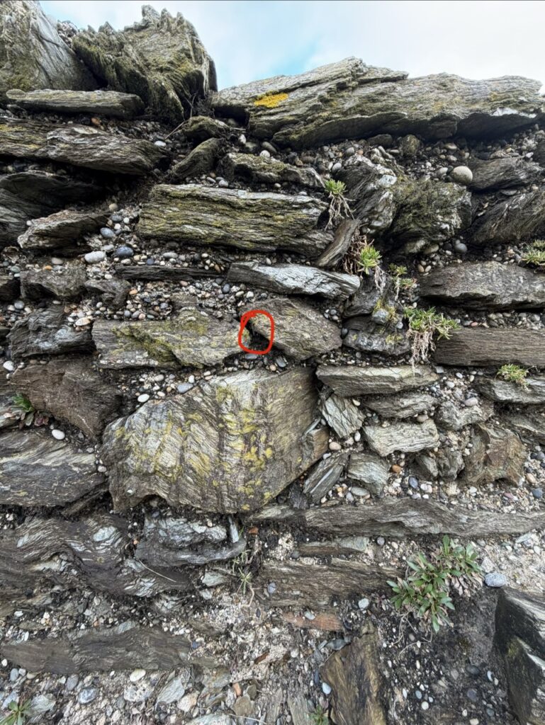 #1019 – Black Castle, Wicklow, Ireland