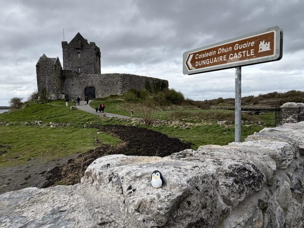 #1081 – Dunguaire Castle, Kinvarra, Ireland