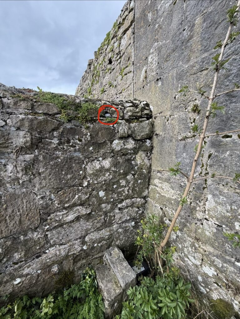 #1081 – Dunguaire Castle, Kinvarra, Ireland