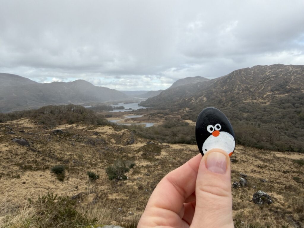 #1095 – Ladies’ View, Ring of Kerry, Ireland 