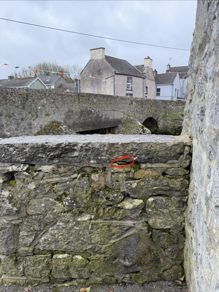 #1127 – Askeaton Castle, Askeaton, Ireland