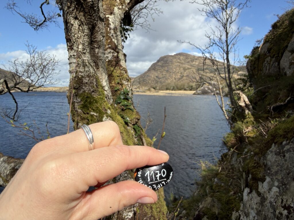 #1170 – Upper Lake Killarney, Gortroe, Ireland