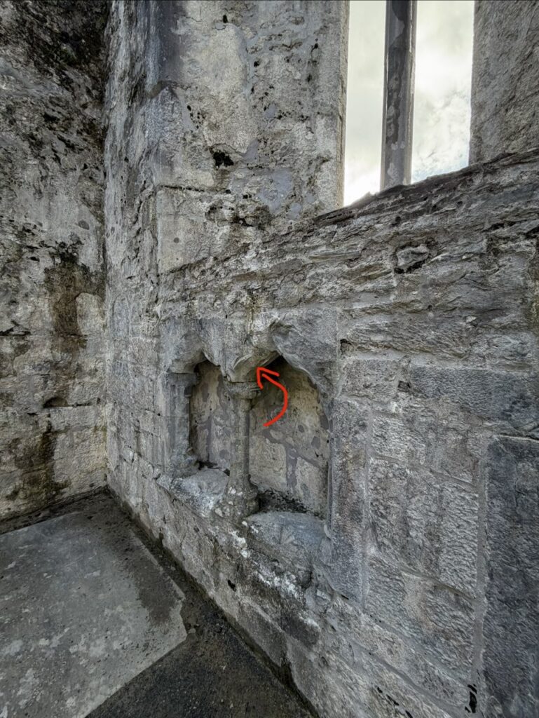 #516 – Muckross Abbey, Muckross, Ireland