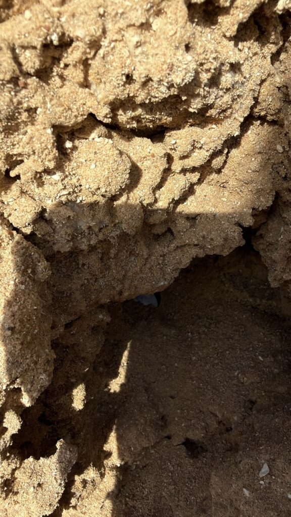 #805 – Rock Wall, Marsa Alam, Egypt 