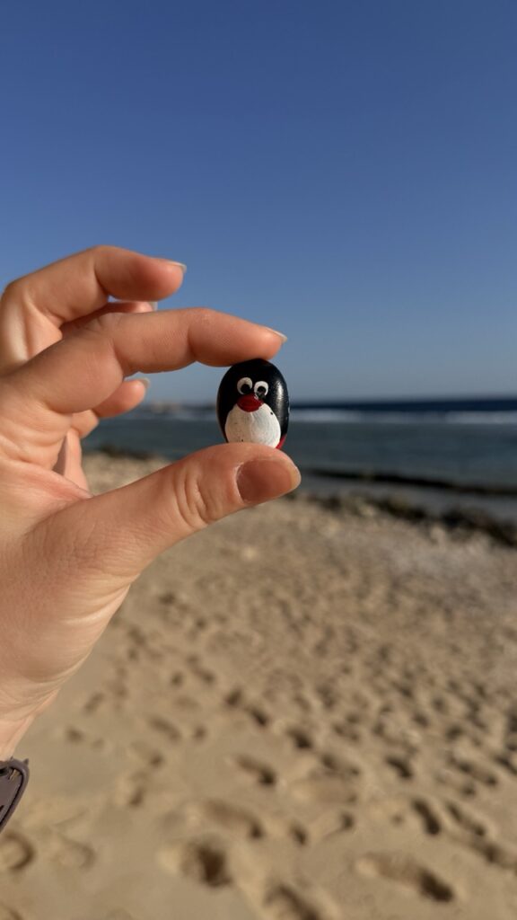 #884 – Stone Wall, Marsa Alam, Egypt