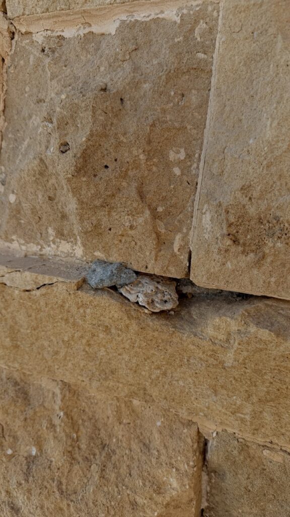#884 – Stone Wall, Marsa Alam, Egypt