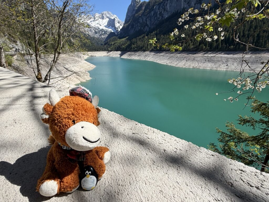 #1003 – Vorderer Gosausee, Gosauseen, Austria