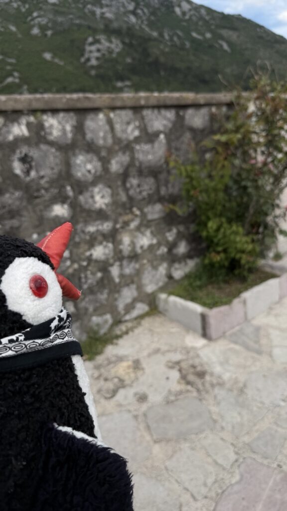 #1017 – Stone Wall at Church of Our Lady of the Rocks, Perast, Montenegro