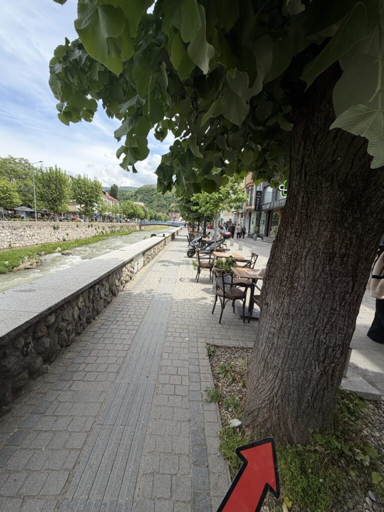 #1156 – Tree, Prizren, Kosovo