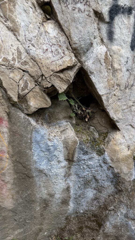 #1209 – Rocks, Matka Canyon, North Macedonia