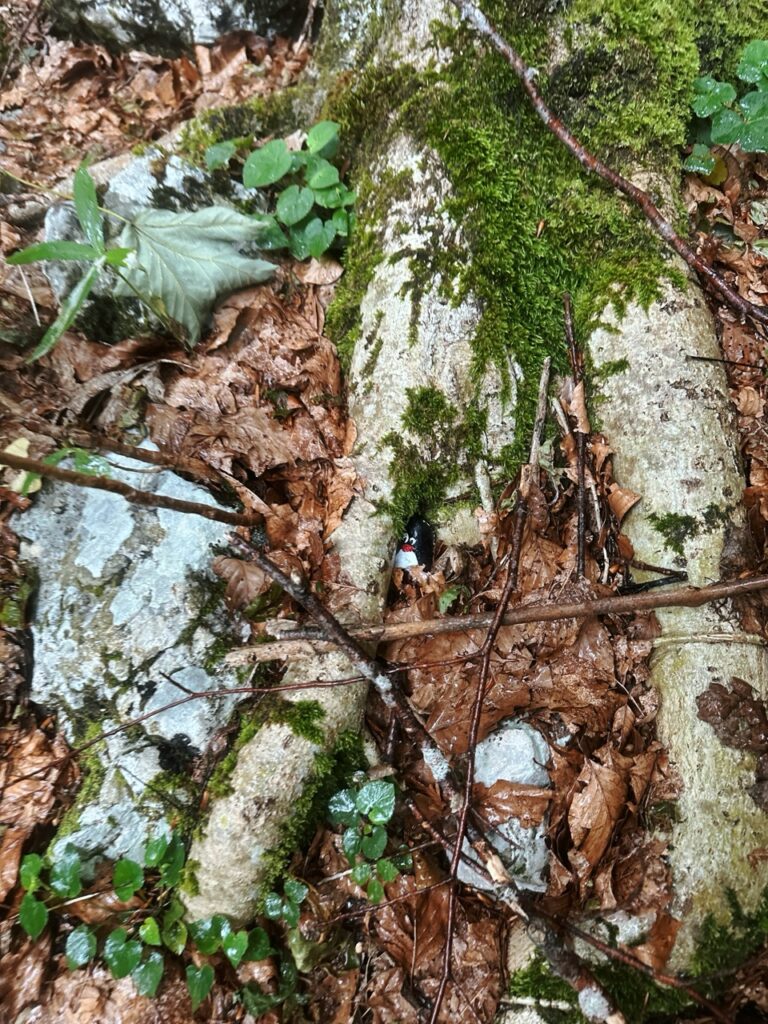 #137 – Slap Mostice, Stara Fužina, Slovenia