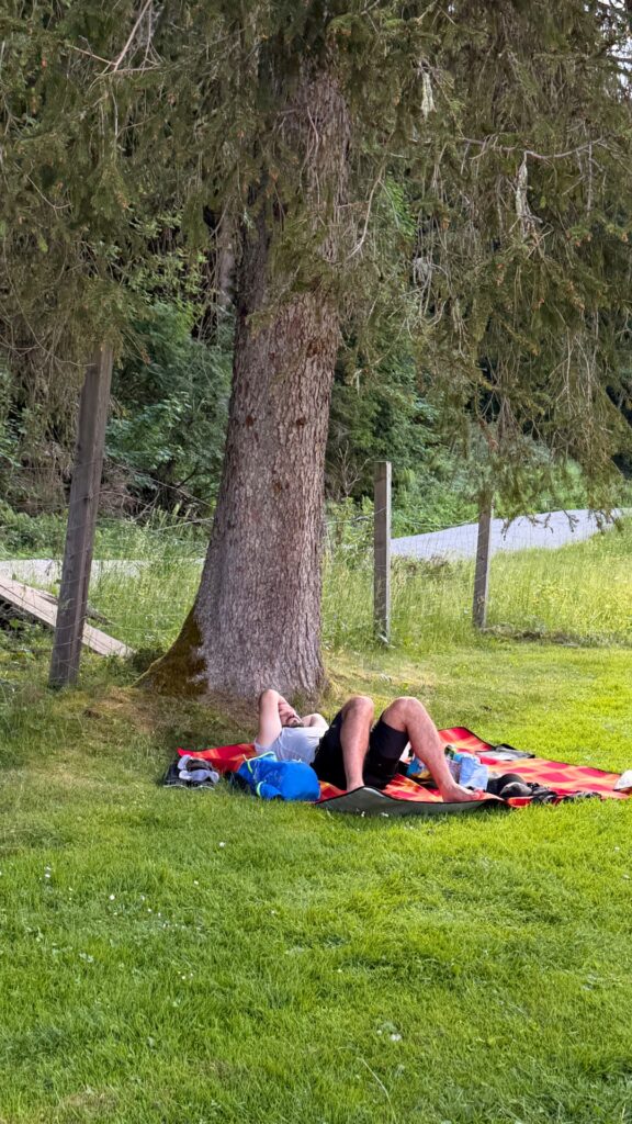 #1083 – Tree at Ramsau Beach, Ramsau am Dachstein