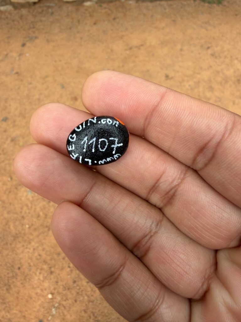 #1107 – VET College Ground, Bengaluru