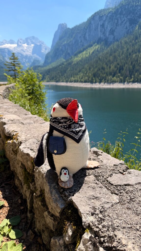 #1205 – Behind a Bench, Vorderer Gosausee