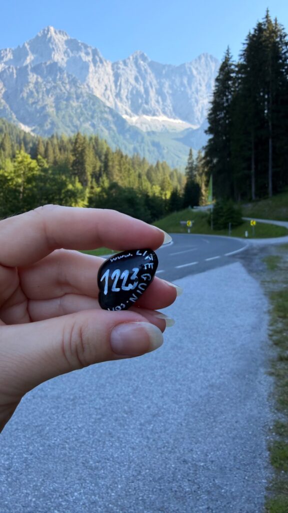 #1223 – Sign, Ramsau am Dachstein