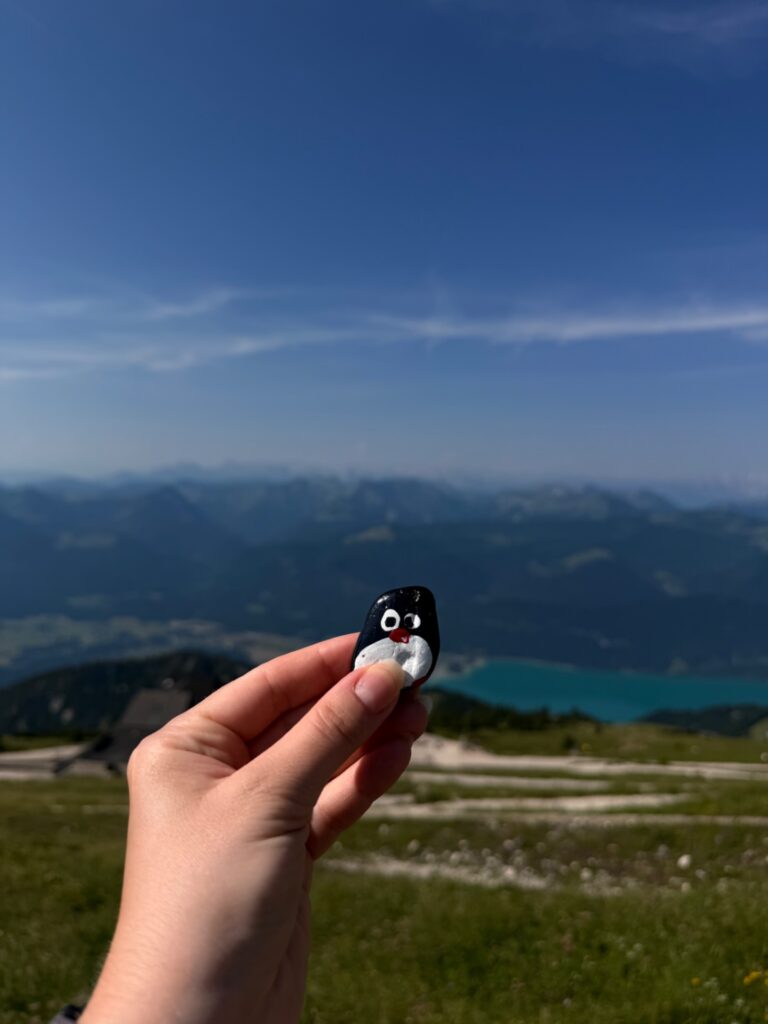 #1237 – Hotel Schafbergspitze, Sankt Gilgen