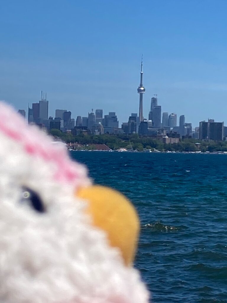 #408 – Sheldon’s Lookout, Humber Bay Shores East, Toronto