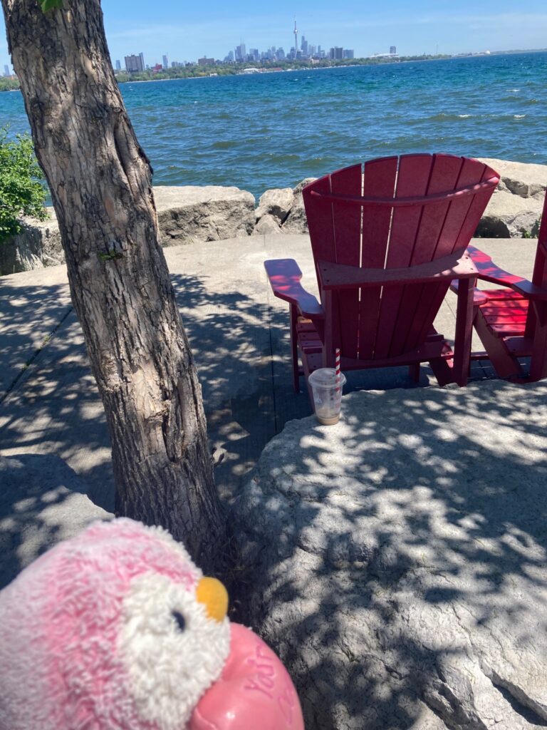 #408 – Sheldon’s Lookout, Humber Bay Shores East, Toronto