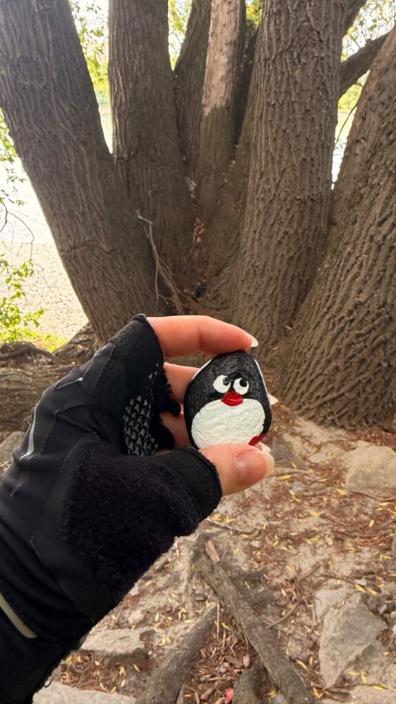 #1275 – Dunaj Beach Tree, Bratislava