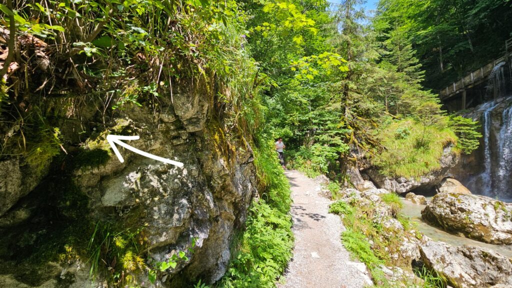 #672 – Seisenbergklamm, Weißbach bei Lofer