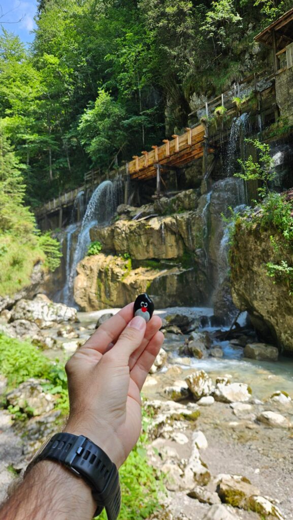 #672 – Seisenbergklamm, Weißbach bei Lofer