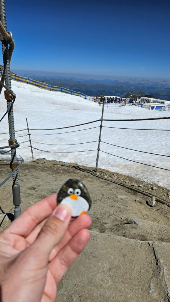 #744 – Glacier, Kitzsteinhorn