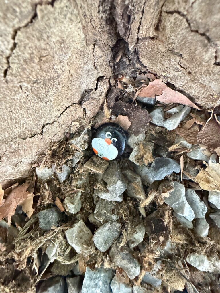 Hand-painted penguin stone #1165 hidden at Limmat Promenade, Baden, Switzerland (photo 4 of 5)