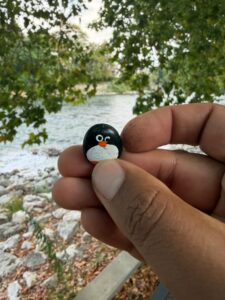 Hand-painted penguin stone #1165 hidden at Limmat Promenade, Baden, Switzerland