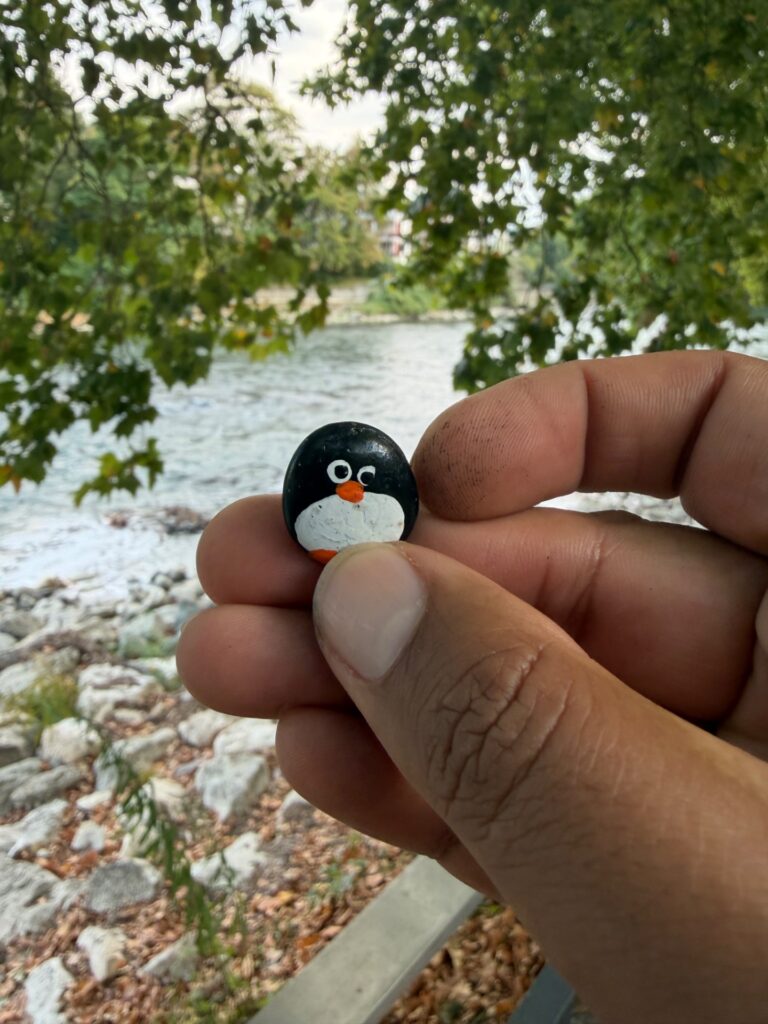Hand-painted penguin stone #1165 hidden at Limmat Promenade, Baden, Switzerland