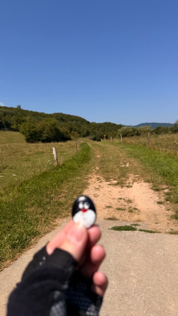 Hand-painted penguin stone #1280 hidden at Underneath Bench, Hniezdne, Slovakia (photo 2 of 4)