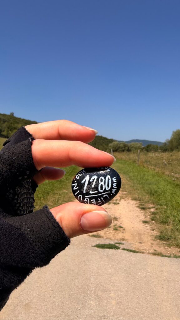 Hand-painted penguin stone #1280 hidden at Underneath Bench, Hniezdne, Slovakia (photo 3 of 4)