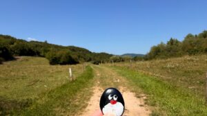 Hand-painted penguin stone #1280 hidden at Underneath Bench, Hniezdne, Slovakia