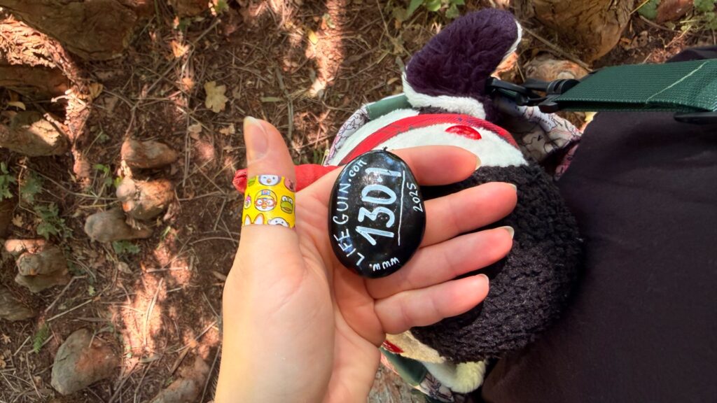 Hand-painted penguin stone #1301 hidden at Tree Trunk, Lednice, Czechia (photo 2 of 4)