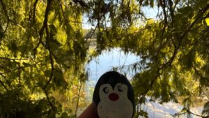 Hand-painted penguin stone #1301 hidden at Tree Trunk, Lednice, Czechia