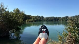 Hand-painted penguin stone #1312 hidden at Lake Rusovce, Rusovce, Slovakia