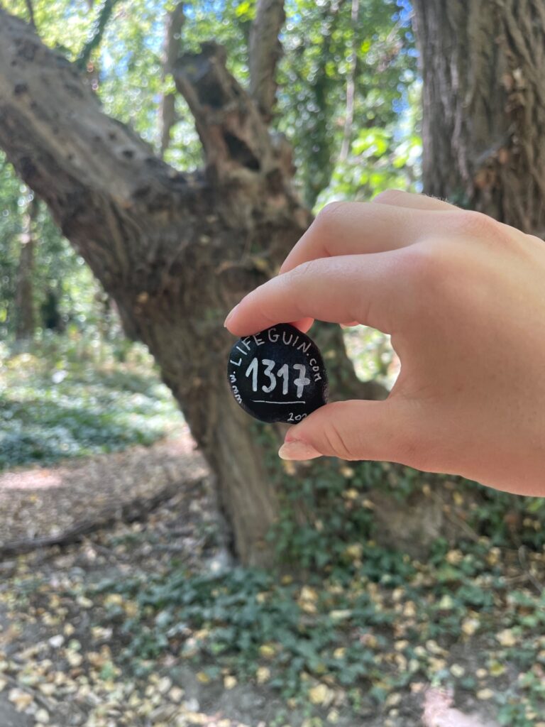 Hand-painted penguin stone #1317 hidden at Lido Park, Bratislava, Slovakia (photo 2 of 4)