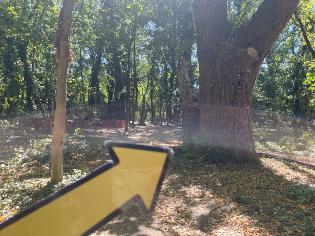 Hand-painted penguin stone #1317 hidden at Lido Park, Bratislava, Slovakia (photo 3 of 4)