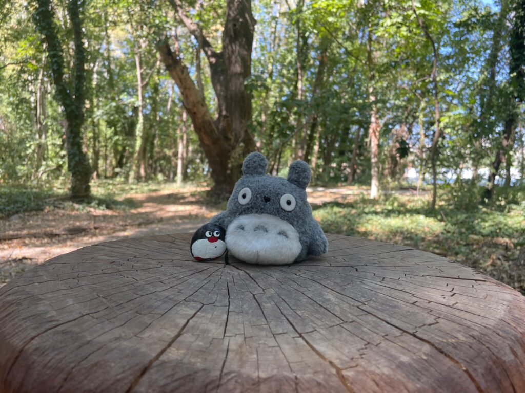 Hand-painted penguin stone #1317 hidden at Lido Park, Bratislava, Slovakia (photo 4 of 4)