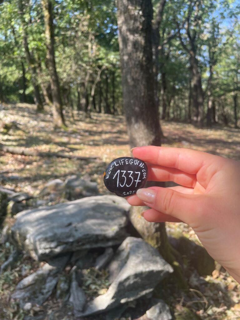 Hand-painted penguin stone #1337 hidden at Under Rocks, Little Carpathians, Slovakia (photo 2 of 4)