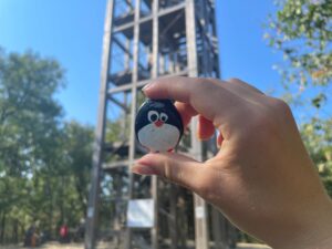 Hand-painted penguin stone #1337 hidden at Under Rocks, Little Carpathians, Slovakia