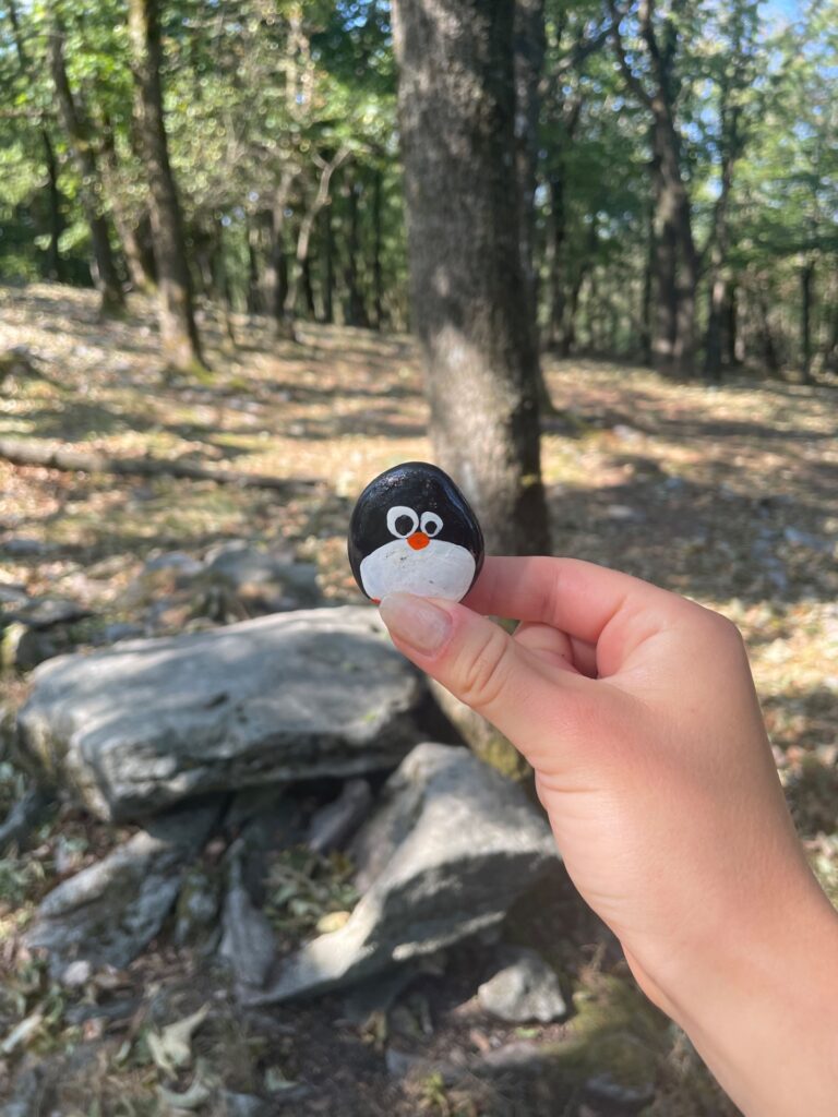 Hand-painted penguin stone #1337 hidden at Under Rocks, Little Carpathians, Slovakia (photo 4 of 4)