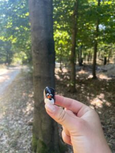 Hand-painted penguin stone #1360 hidden at Tree Trunk, Little Carpathians, Slovakia