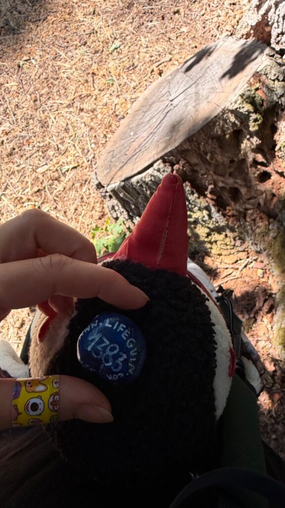 Hand-painted penguin stone #1383 hidden at Lednice Minaret, Lednice, Czechia (photo 5 of 5)