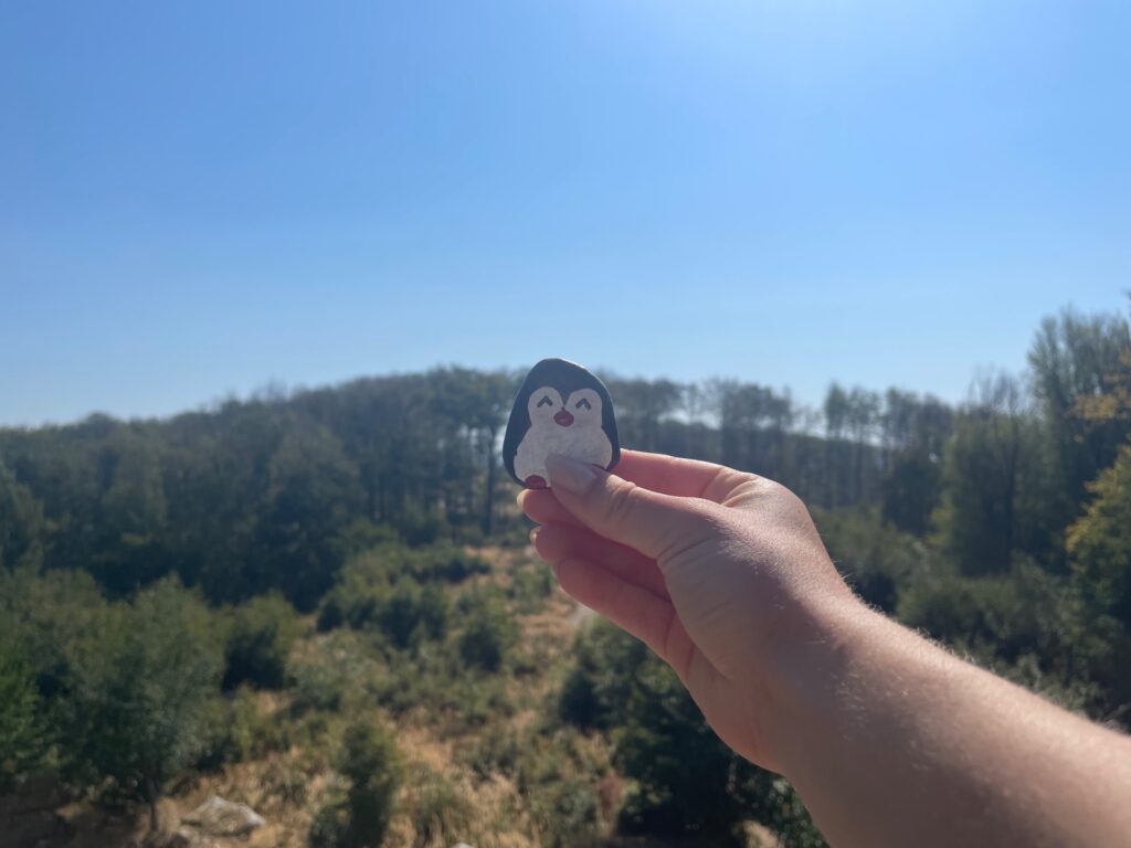 Hand-painted penguin stone #1404 hidden at Underneath Rocks, Little Carpathians, Slovakia