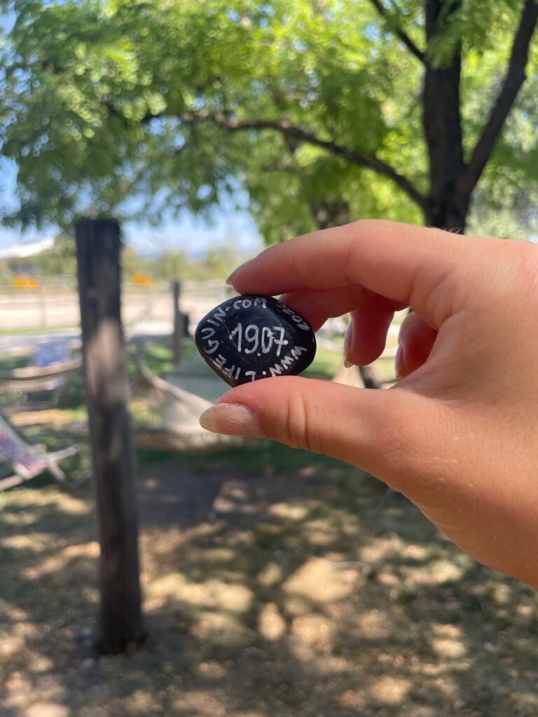 Hand-painted penguin stone #1907 hidden at Goat Enclosure, Engelhartstetten, Austria (photo 2 of 3)